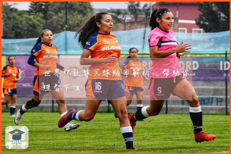 世界杯让球买球赔率解析,帮助你理智下注