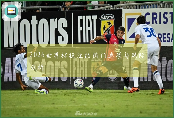 2026世界杯投注的热门选项与风险分析