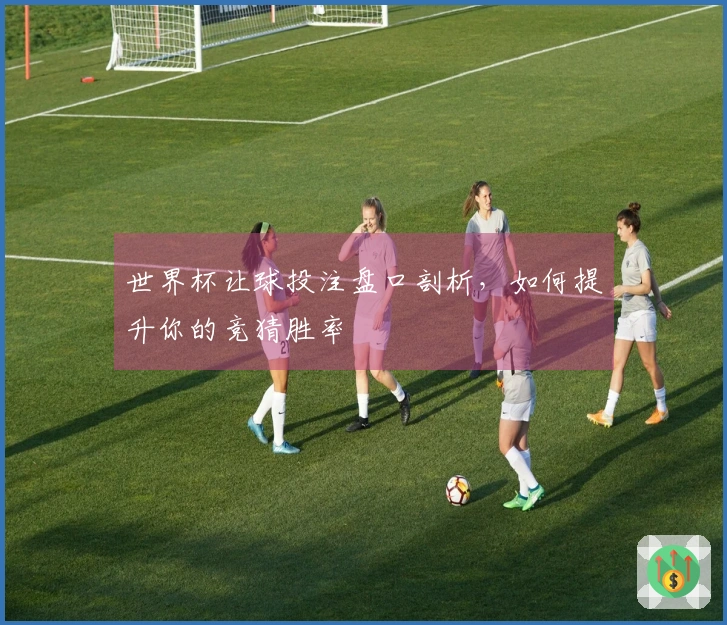 世界杯让球投注盘口剖析，如何提升你的竞猜胜率