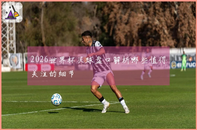 2026世界杯买球盘口解析哪些值得关注的细节