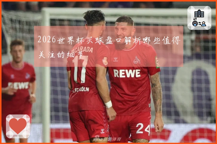 2026世界杯买球盘口解析哪些值得关注的细节