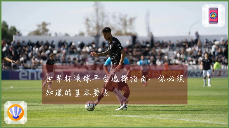 世界杯滚球平台选择指南，你必须知道的基本要点