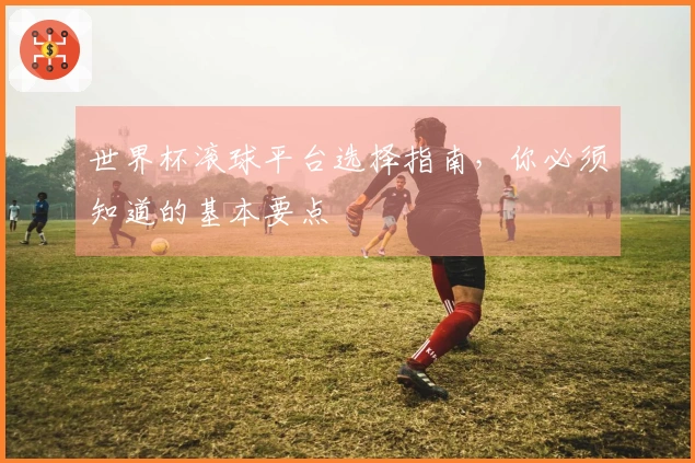 世界杯滚球平台选择指南，你必须知道的基本要点