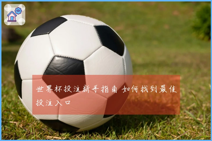 世界杯投注新手指南 如何找到最佳投注入口