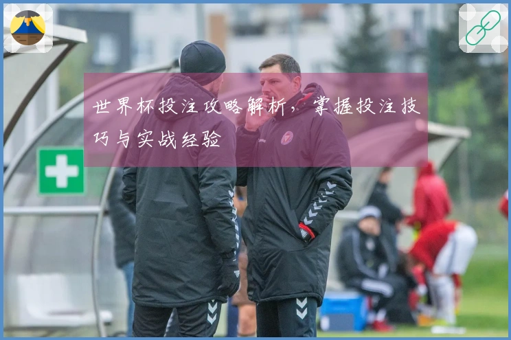 世界杯投注攻略解析，掌握投注技巧与实战经验