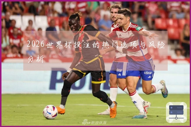 2026世界杯投注的热门选项与风险分析